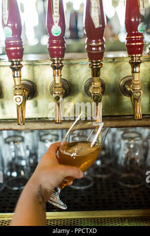 Hand der Person Füllung Glas mit Zapfhahn, Seattle, Washington, USA Stockfoto