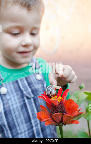 Schnecke auf rote Blume. Fröhlicher kleiner Junge spielt im Park mit Schnecke am Tag Zeit. Kid Schnecke beobachten. Stockfoto