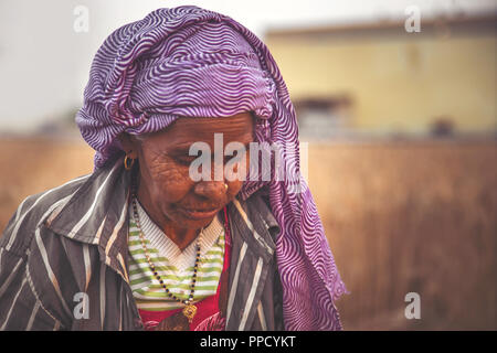 Alte indische Frau in einem Weizenfeld nach unten schauen. Haryana Stockfoto