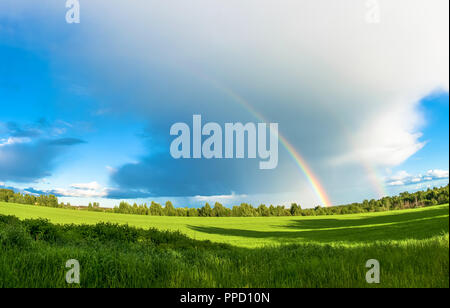 Hellen bunten Regenbogen über den grünen Bereich auf dem Hintergrund einer großen Wolke. Stockfoto