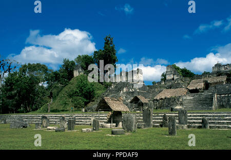 Präkolumbische Kunst. Maya. Tikal. Stelen und die Akropolis. Sein Bau begann in der Preclassic Zeitraum, um 350 v. Chr.. Region Peten. Guatemala. Stockfoto