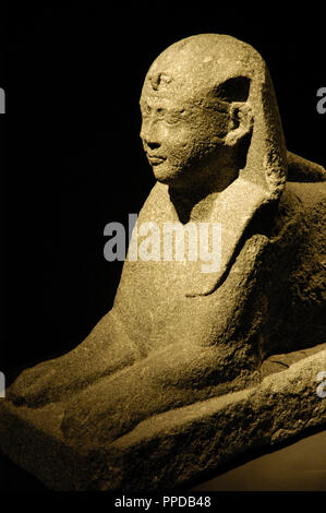 Ägyptische Kunst. Sphinx von Ptolemäus XII Auletes (117-51 v. Chr.). Ägyptischen Pharao und Vater der ägyptischen Königin Kleopatra VII. Ptolemäerzeit. Temporäre Ausstellung. Martin Gropius. Berlin. Deutschland. Stockfoto