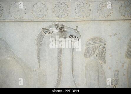 Persische Kunst. Achämenidischen Reiches (550-330 v. Chr.). Persepolis. Entlastung von den Treppen der Apadana. Detail. Delegation: Baktrien bietet. Stockfoto