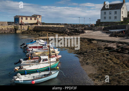 Boote in St. Abbs Hafen, einem kleinen Fischerdorf an der südöstlichen Küste von Schottland, in der coldingham Pfarrei Berwickshire. Stockfoto