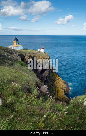 Der Leuchtturm und Nebelhorn in St. Abbs Head, einem Felsvorsprung in der Nähe von St. Abbs, Berwickshire, Schottland Großbritannien Stockfoto