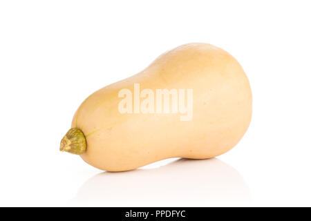 Eine ganze glatte Birnenförmig orange Kürbis waltham Vielfalt auf weißem Hintergrund Stockfoto