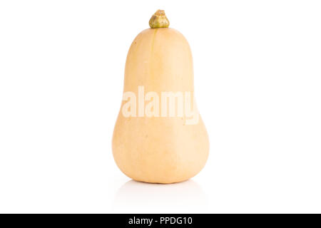 Eine ganze Frische glatte Birnenförmig orange Kürbis waltham Vielfalt auf weißem Hintergrund Stockfoto