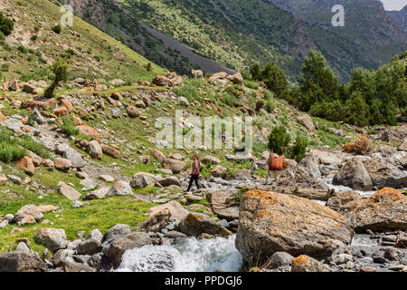 Die unglaubliche Höhen von Alay Trek im Südwesten Kirgisistan, die in 4 3000+ Meter überschreitet. Stockfoto