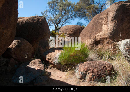 Hyden Australien, Szene mit Felsbrocken auf Wave Rock Stockfoto