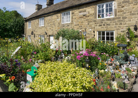 Bunte Cottage Garten im Sommer in einem der so genannten Pest Cottages, Eyam, Derbyshire, Großbritannien Stockfoto