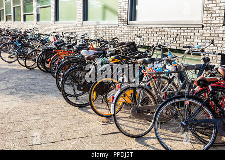 Bunte Fahrräder auf einer Straße mit Kopfsteinpflaster in Rotterdam gegen ein Gebäude geparkt, Hintergrund. Stockfoto