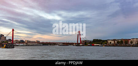 Rotterdam, Niederlande. Skyline und Willem Brücke am Nachmittag Stockfoto