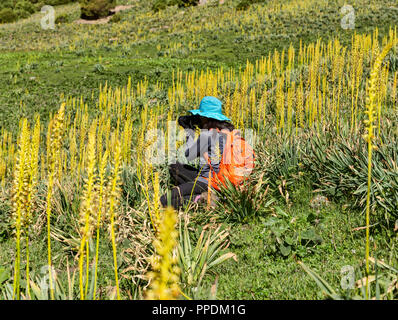 Die unglaubliche Höhen von Alay Stromkreis im Südwesten Kirgisistan, die in 4 3000+ Meter überschreitet. Stockfoto