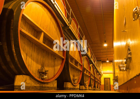 Wein Fässer im Keller in Italien, Toskana. Stockfoto