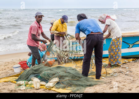 Negombo Sri Lanka vom 24. Juli 2017 - Gruppe der Fischer sammeln Fisch aus ihre Netze mit dem Boot und te Meer auf dem Hintergrund in Negombo Stockfoto