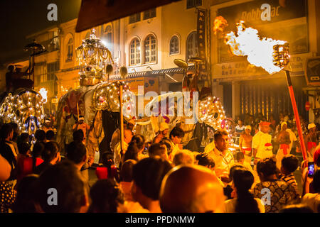 Kandy Sri Lanka am 29. Juli 2017 - Umzug der Elefanten während der Kandy Festival in Sri Lanka. Die elepant in der Mitte trägt die Zahnreliquie Stockfoto