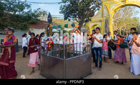 Kandy Sri Lanka 02 August 2017 - Hindu Ritual brechen Kokosnüsse in Devalaya Ruhunu Maha Kataragama Tempelanlage in Sri Lanka. Stockfoto