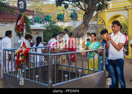 Kandy Sri Lanka 02 August 2017 - Hindu Ritual brechen Kokosnüsse in Devalaya Ruhunu Maha Kataragama Tempelanlage in Sri Lanka. Stockfoto