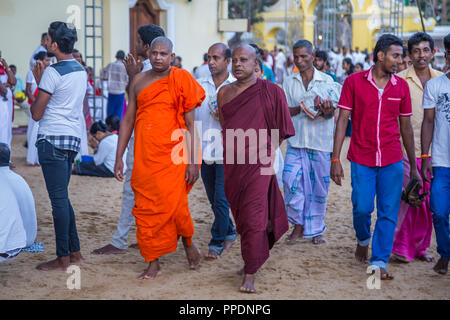 Kandy Sri Lanka 02 August 2017 - Buddhistische pelgrims während einer Feier im buddhistischen Teil der Ruhunu Maha Kataragama Devalaya Tempel Kom Stockfoto