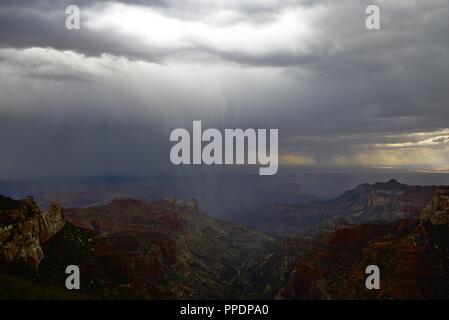 Regen über Grand Canyon gießen Stockfoto