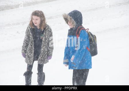 Sheffield, Großbritannien - 28 Feb 2018: Spielen im Schnee: Bruder und Schwester spielen im Freien in einem Blizzard, wie das Tier aus dem Osten griffe Sheffield in freezin Stockfoto