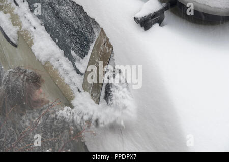 Sheffield, Großbritannien - 28 Feb 2018: Spielen im Schnee: Mädchen schabt Schnee aus ein Auto, da das Tier aus dem Osten griffe Sheffield in eisige Winter Wetter Stockfoto