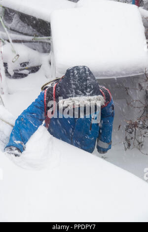 Sheffield, Großbritannien - 28 Feb 2018: Spielen im Schnee: junge Schabt Schnee aus ein Auto, da das Tier aus dem Osten griffe Sheffield in eisige Winter Wetter Stockfoto