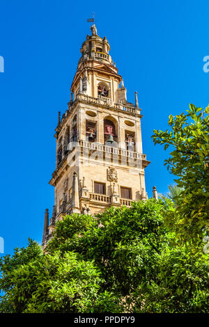 Alminar Turm (Minarett) von La Mezquita, die Große Moschee, Cordoba, Spanien Stockfoto