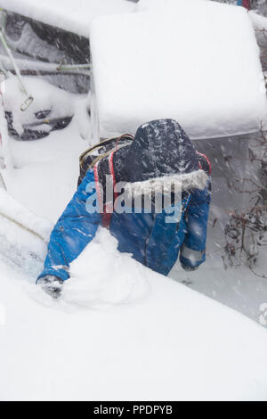 Sheffield, Großbritannien - 28 Feb 2018: Spielen im Schnee: junge Schabt Schnee aus ein Auto, da das Tier aus dem Osten griffe Sheffield in eisige Winter Wetter Stockfoto