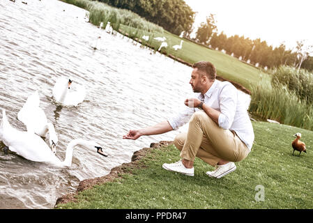 Happy Weekend. Man Schwäne füttern in Park Stockfoto