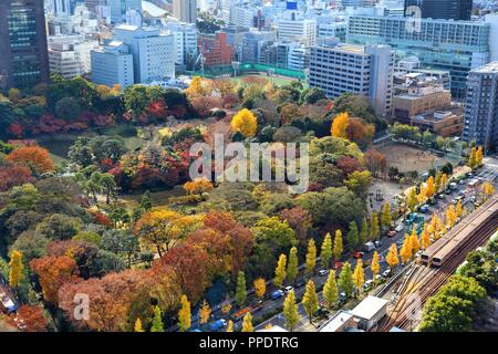 Koishikawa Korakuen Garten in Bunkyo Bezirk von Tokyo City, Japan. Luftaufnahme. Stockfoto