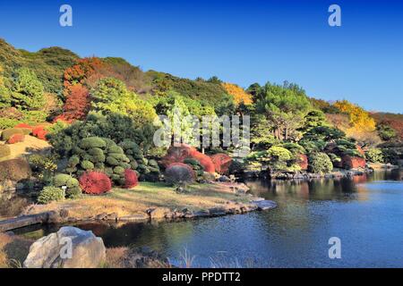 Koishikawa Botanical Gardens in Bunkyo, Tokio, Japan. Herbst Laub. Stockfoto