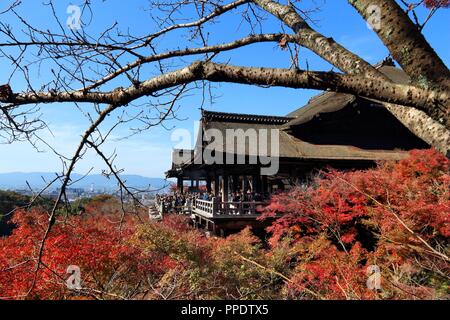 KYOTO, Japan - 26 November, 2016: die Menschen besuchen Kiyomizu-dera Tempel in Kyoto, Japan. Kyoto hat 17 UNESCO-Welterbestätten. Stockfoto