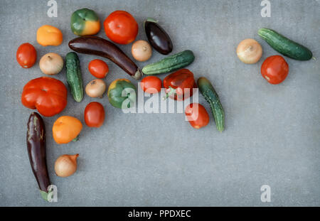 Auf einem grauen einfachen Hintergrund eine Vielzahl von Gemüse: Auberginen, Tomaten, Paprika, Gurken, Zwiebeln. Ansicht von oben, kopieren Raum Stockfoto