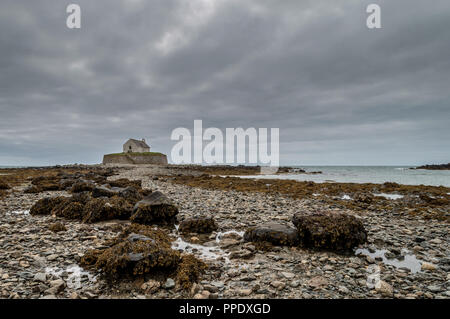 Im 12. Jahrhundert St Cwyfan Kirche, auf der kleinen Insel Gezeiten Cribinauon, auf Anglesey. Stockfoto