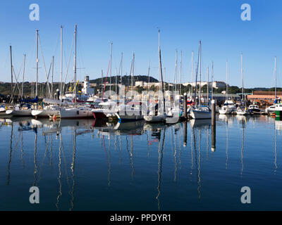 Yachten vor Anker im Hafen in der Morgensonne am Scarborough North Yorkshire England Stockfoto