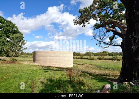 "Schreiben in der öffentlichkeit Wasser' Artwork von Künstler Mark Wallinger im Grünen an Runnymede Egham Surrey England Großbritannien Stockfoto