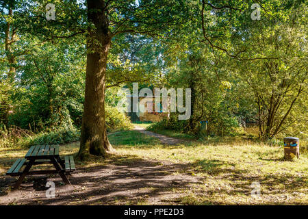 Southcrest Holz in Redditch, Worcestershire, England auf einem hellen, sonnigen Tag. Stockfoto