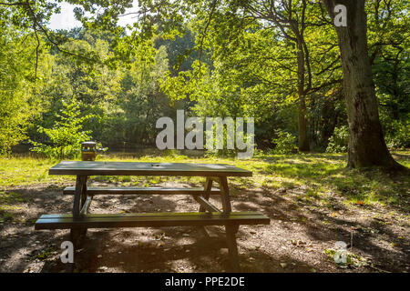 Southcrest Holz in Redditch, Worcestershire, England auf einem hellen, sonnigen Tag. Stockfoto