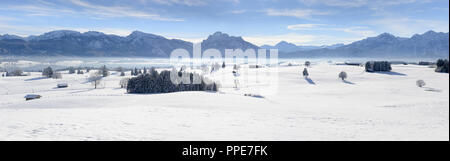 Winter Panorama in Bayern im Allgäu am Forggensee in der Nähe von Füssen Stockfoto