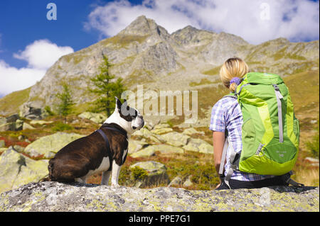 Wandern mit einem Boston Terrier Hund in den Bergen Stockfoto