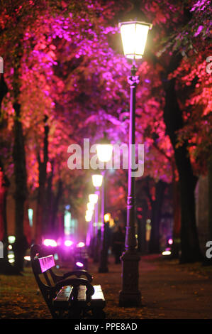 Die promenadenplatz in München leuchtet in Rosa für den Internationalen Tag der Mädchen am 11. Oktober. Mit der Aktion, die Entwicklung von Kindern Organisation Plan International möchte das Bewusstsein für die Diskriminierung von Mädchen auf der ganzen Welt zu erhöhen. Stockfoto