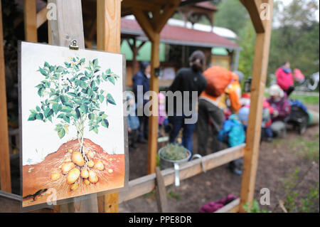 Im Wald kindergarten Waldleben e.V. am Waldhornstrasse in Griesheim die Kinder sind fast immer draußen, Spielen und Lernen in der Natur. Im Vordergrund gibt es ein infoboard auf Kartoffeln. Stockfoto