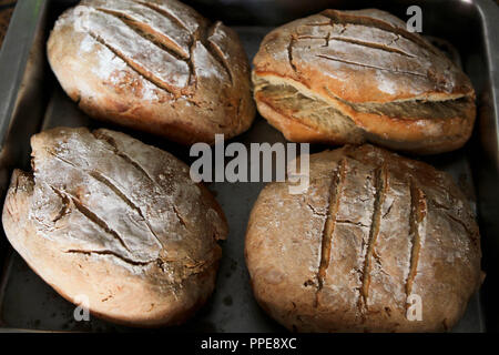 Hausgemachtes Brot Stockfoto