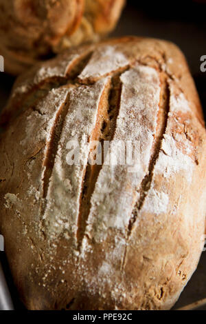 Hausgemachtes Brot Stockfoto