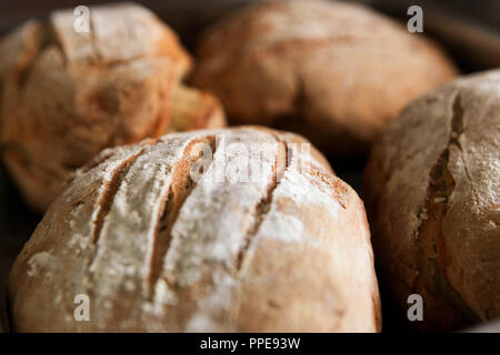 Hausgemachtes Brot Stockfoto