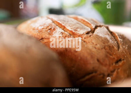 Hausgemachtes Brot Stockfoto