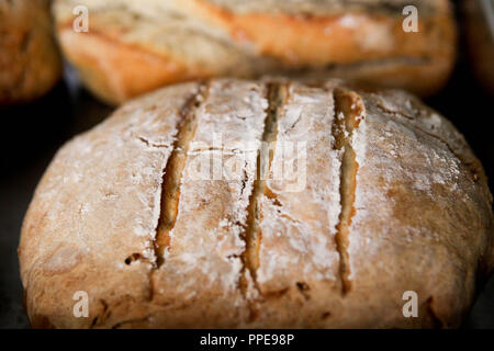 Hausgemachtes Brot Stockfoto