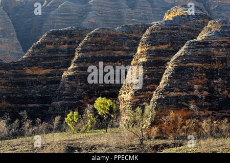 Bienenstock geformten Sandsteinformationen, Purnululu National Park, Kimberley, Nordwesten Australien | Verwendung weltweit Stockfoto