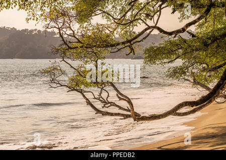 Strand Szenen, Corcovado Nationalpark, Halbinsel Osa, Costa Rica Stockfoto